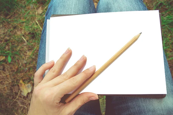 bir kalem doğa üzerinde çizim