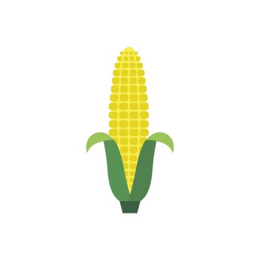 Mısır sarı düz simgesi gıda doğal illüstrasyon organik logo vektör