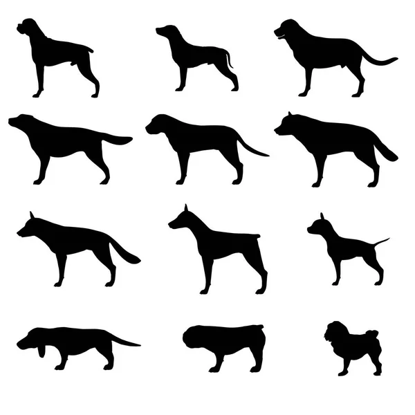 Köpek siluet vektör simge evde beslenen hayvan izole hayvan siyah ayarla — Stok Vektör