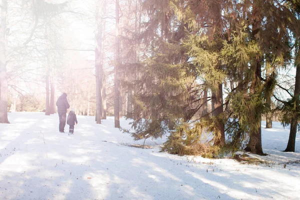 Far gå med sonen i vinter skog — Stockfoto