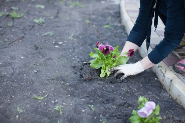 bahçede çiçek dikim kadın