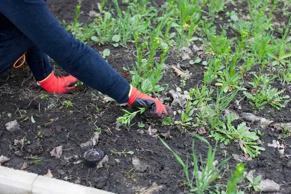 Yard'da ayıklayacaktır kadın