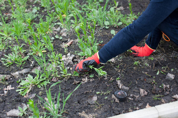 woman weeding at yard