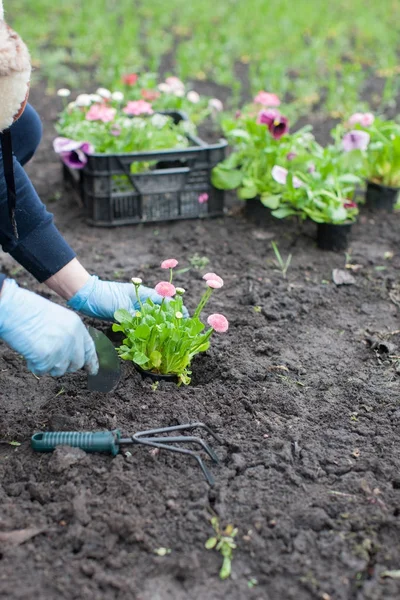 bahçede çiçek dikim kadın