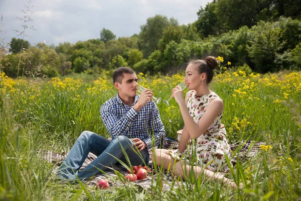 Piknikte şampanya içmek Çift — Stok fotoğraf