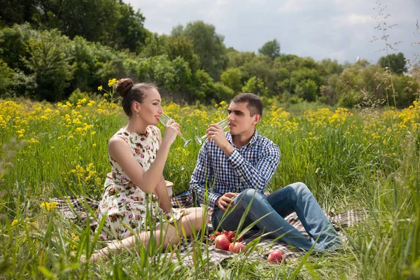 Piknikte şampanya içmek Çift — Stok fotoğraf