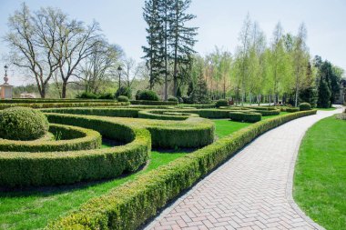 Yeşil bitkiler ve ağaçlar parlak yaz gün boyunca mavi gökyüzü altında modern Park