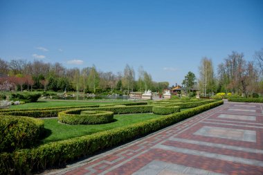 Kamu parki yeşil ile sahnede güzel park çim alan, taş yolları ve banklar, yeşil ağaçlar, peyzaj tasarımı