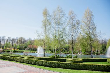 Sonbahar park su birikintisi, yeşil bitkiler ve Çeşme temiz mavi gökyüzü altında