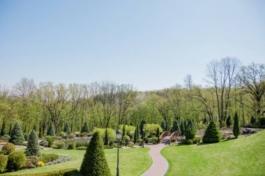 Yeşil bitkiler ve ağaçlar parlak sonbahar gün boyunca mavi gökyüzü altında modern Park
