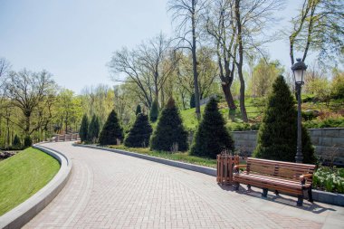 Kamu parki yeşil ile sahnede güzel park çim alan, taş yolları ve banklar, yeşil ağaçlar, peyzaj tasarımı