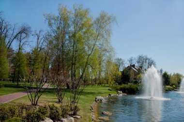 Sonbahar park su birikintisi, yeşil bitkiler ve Çeşme temiz mavi gökyüzü altında