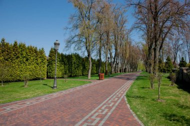 Yeşil bitkiler ve ağaçlar parlak sonbahar gün boyunca mavi gökyüzü altında modern Park