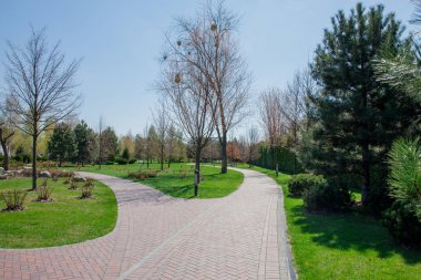 Yeşil bitkiler ve ağaçlar parlak sonbahar gün boyunca mavi gökyüzü altında modern Park