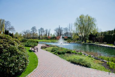 Sonbahar park su birikintisi, yeşil bitkiler ve Çeşme temiz mavi gökyüzü altında