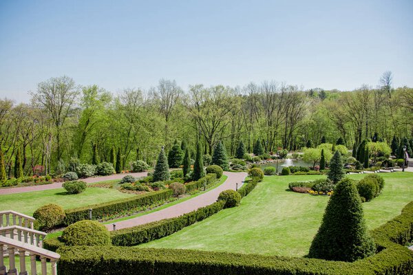 Green plants and trees in modern park under blue sky, during bright autumn day