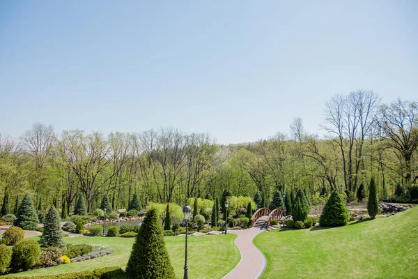 Groene Planten Bomen Moderne Park Onder Blauwe Hemel Tijdens Heldere — Stockfoto