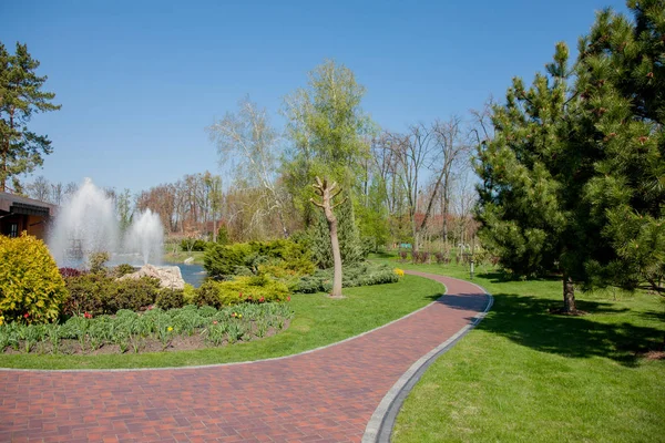 Herfst Park Met Vijver Groene Planten Fontein Onder Schone Blauwe — Stockfoto