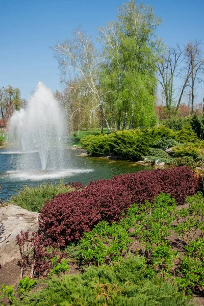 Sonbahar park su birikintisi, yeşil bitkiler ve Çeşme temiz mavi gökyüzü altında