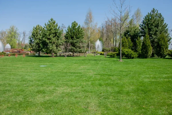 Prachtig Park Scène Openbaar Park Met Groen Gras Veld Stenen — Stockfoto