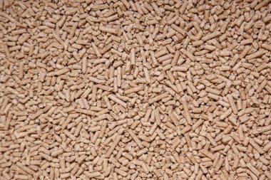 Ahşap unsurlardandır. Katı ahşap parçaları, portre. Ahşap parçaları arka plan preslenmiş