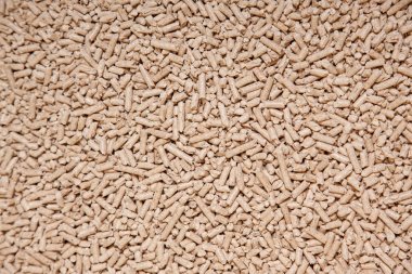 Ahşap unsurlardandır. Katı ahşap parçaları, portre. Ahşap parçaları arka plan preslenmiş