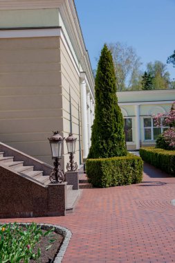 Kamu parki yeşil ile sahnede güzel park çim alan, taş yolları ve banklar, yeşil ağaçlar, peyzaj tasarımı