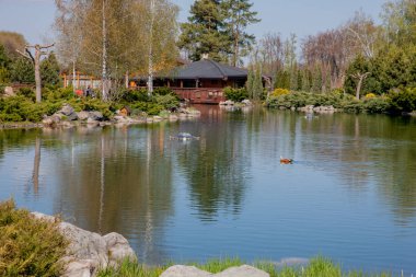 Park, yatay, gölet ve evin temiz mavi gökyüzü altında