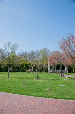 Yeşil bitkiler ve ağaçlar parlak sonbahar gün boyunca mavi gökyüzü altında modern Park