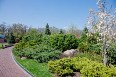 Yeşil bitkiler ve ağaçlar parlak sonbahar gün boyunca mavi gökyüzü altında modern Park
