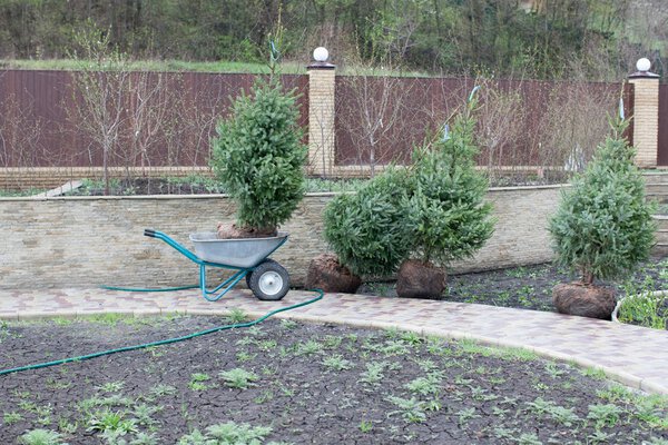 Посадка деревьев в почве, планирование участка, ландшафт. Коричневый металл
