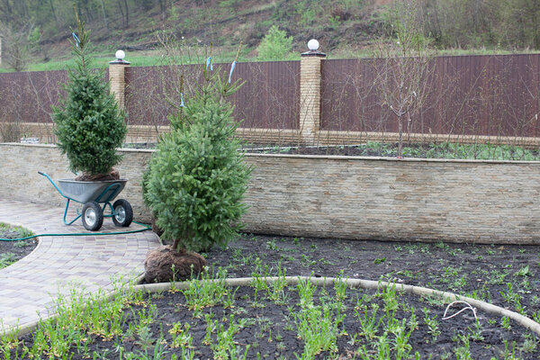 Planting trees in soil, site planning, landscape. Brown metal fence background