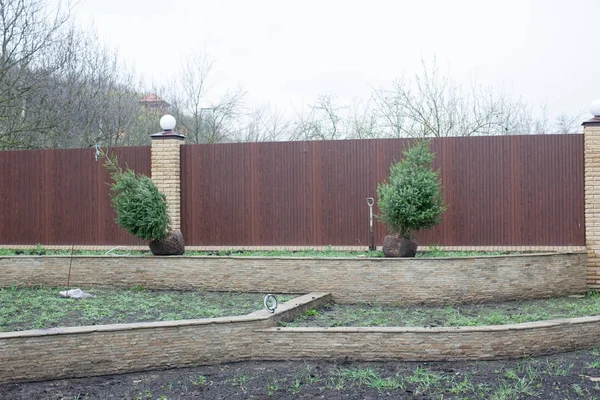 Planting trees in soil, site planning, landscape. Brown metal fence background
