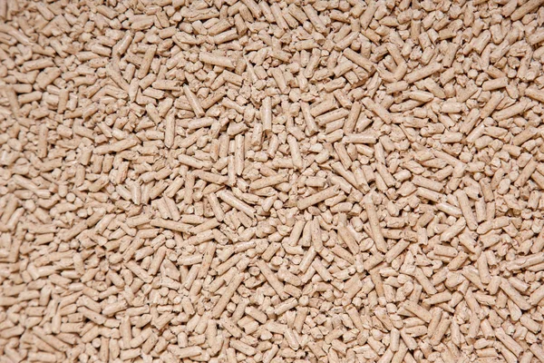 Ahşap unsurlardandır. Katı ahşap parçaları, portre. Ahşap parçaları arka plan preslenmiş