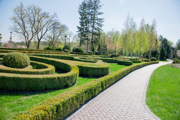 Green plants and trees in modern park under blue sky, during bright autumn day