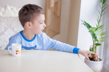 Güzel çocuk çocuk Kupası, eve iç arka plan ile yetişkin masada oturan closeup