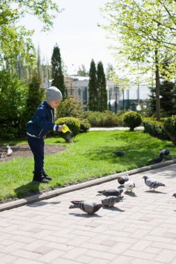 Yeşil Park'ta yürüyordunuz ve yolda güvercin besleme mavi giysili tatlı küçük çocuk