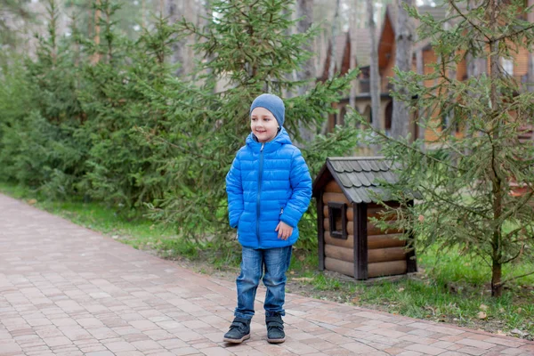 Söt Liten Pojke Blå Vinterkläder Promenader Parken Mellan Gröna Granar — Stockfoto