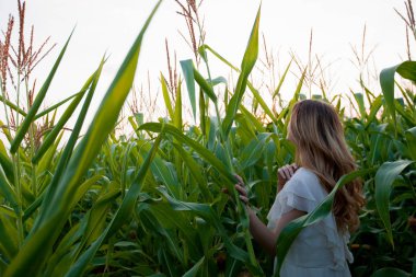 Beyaz elbise giyiyordu, Mısır alanı, yeşil bitkiler arka planda yürüyen genç kadın Güzellik Portresi     