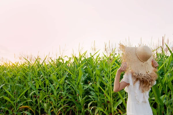 Portrét Mladé Ženy Krásy Bílých Šatech Procházky Kukuřičné Pole Zelené — Stock fotografie