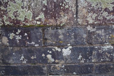 Yeşil yosun arka plan ile karanlık tuğla duvar. 