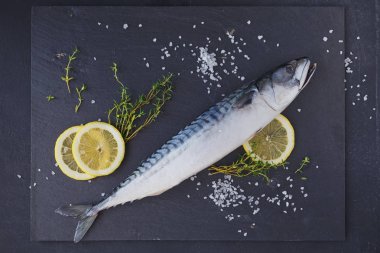 Taze çiğ balık uskumru ve malzemeler üzerinde karanlık ba yemek pişirmek için