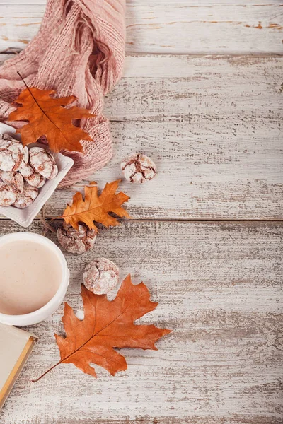 Bodegón de otoño con taza de cacao y galletas de chocolate — Foto de Stock