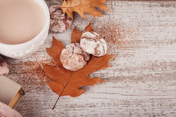 Bodegón de otoño con taza de cacao y galletas de chocolate — Foto de Stock