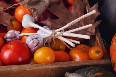 Ahşap kutusunda tablo taze sebze