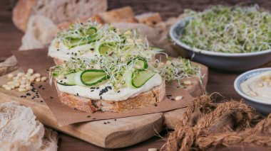 Sağlıklı vejetaryen bruschettas ekmek, mikro Yeşiller, humus,