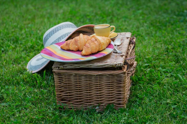 Picnic at the park on the grass: wicker basket, fresh croissants — Φωτογραφία Αρχείου