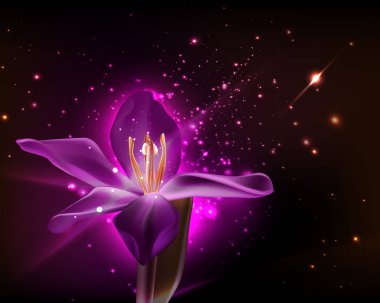 Arka plan şablonu tasarım olarak tek mor orkide