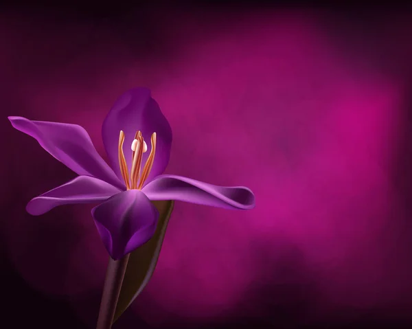 Arka plan şablonu tasarım olarak tek mor orkide