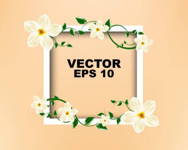 Beyaz çiçek şablon tasarımı ile beyaz çerçeve